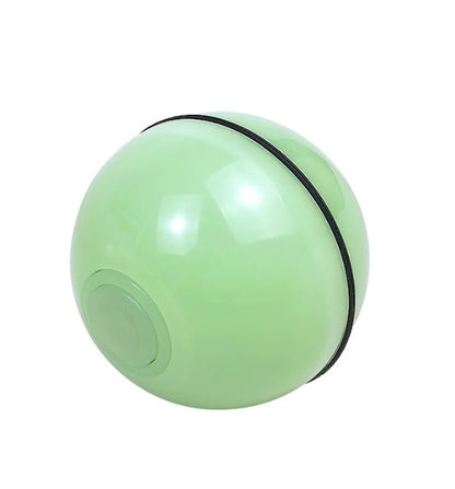 Automatic Electronic Rolling Pet Ball