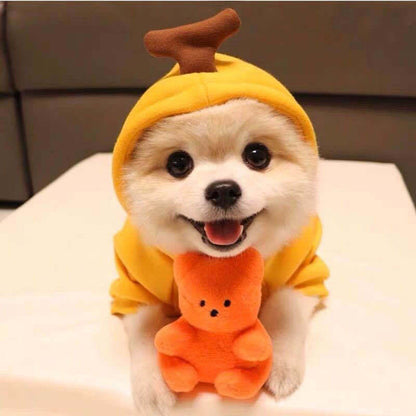 Cute Hoodies For Dogs | Winter Warm Fleece Pet Clothing