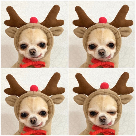 Cute Hoodies For Dogs | Winter Warm Fleece Pet Clothing