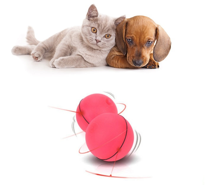 Automatic Electronic Rolling Pet Ball