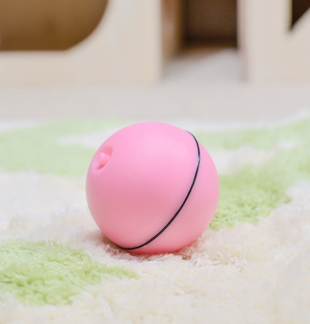 Automatic Electronic Rolling Pet Ball