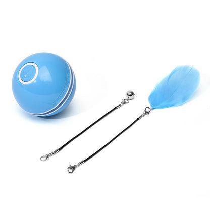 Automatic Electronic Rolling Pet Ball