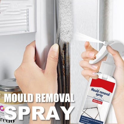 Anti-Mildew Wall Tile Cleaner