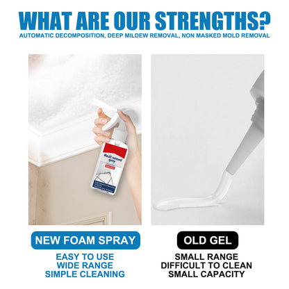 Anti-Mildew Wall Tile Cleaner