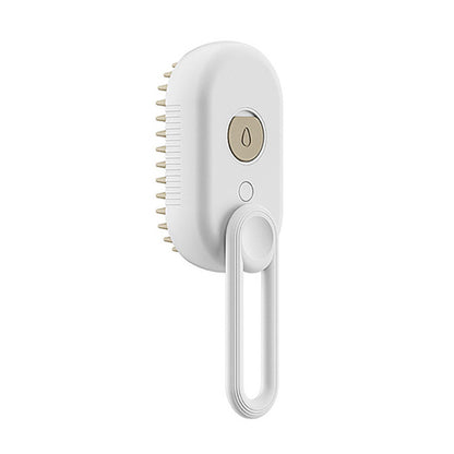 Pet Steam Brush With Electric Spray | For Massage & Grooming