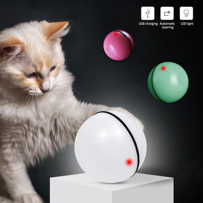 Automatic Electronic Rolling Pet Ball