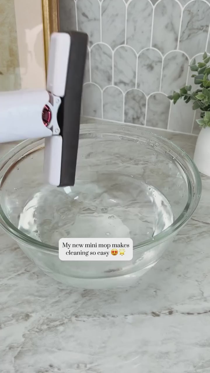 Portable Mini Mop Tool